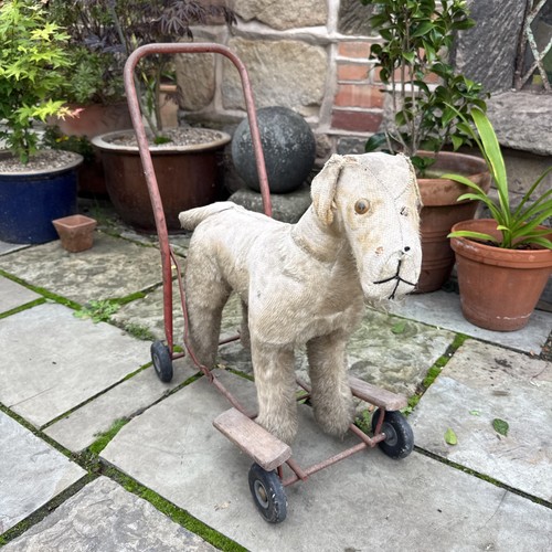 Rare vintage dog - dog, pedigree