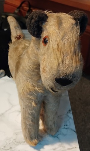 Antique steiff terrier 22cm - ,