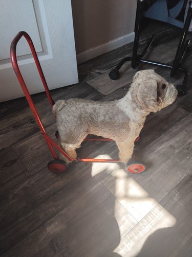 Original vintage pedigree