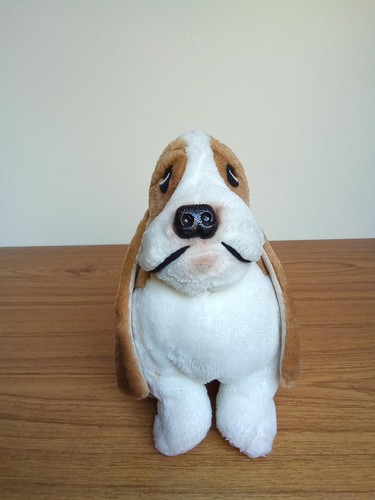 Hush puppy soft - puppy, hound
