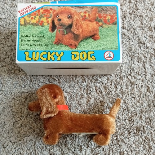 Vintage 1970s lucky dog - vintage, "lucky