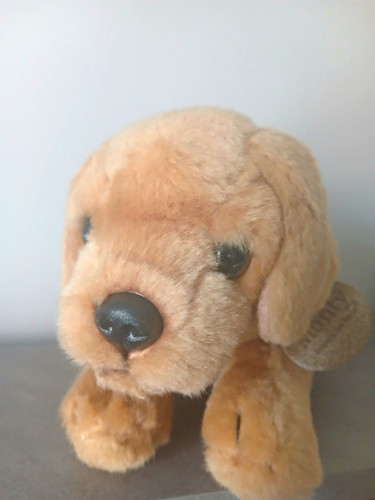 Keel toys monty - keel,
