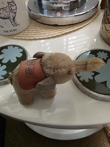 Steiff vintage 1950 beige - beige, &
