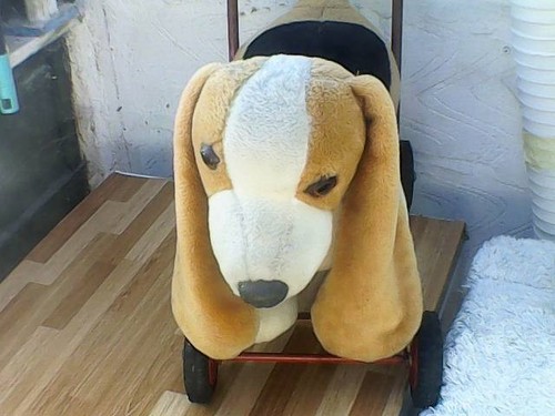 Vintage push along - along, dog