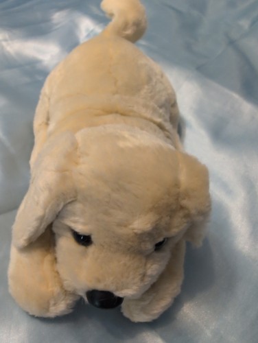 Andrex vintage puppy - puppy, dog
