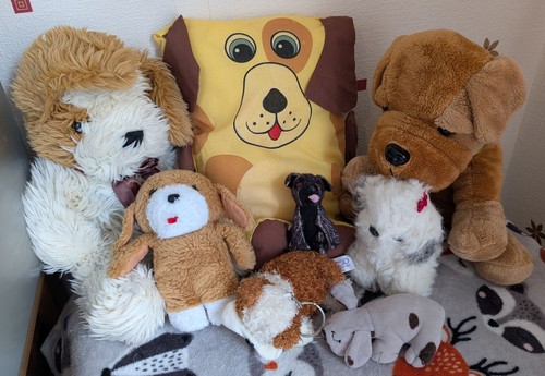 Dog soft toys plush - toys, bundle