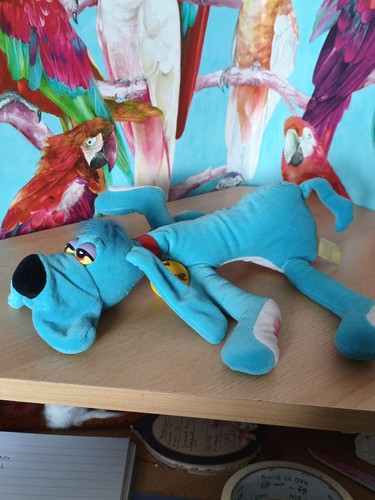 Rare foofur blue - rare, dog