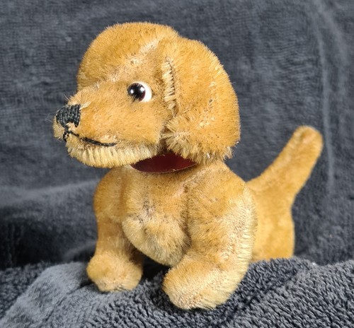 Vintage steiff bazi - steiff, dachshund