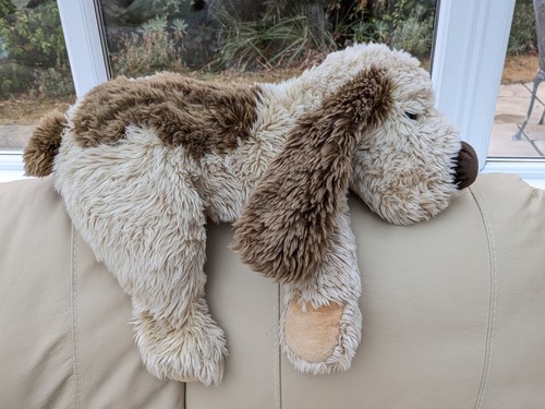 Keel large patch brown puppy - patch,