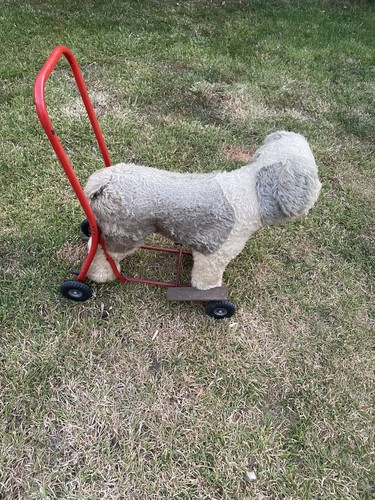 Rare vintage pedigree soft - rare,